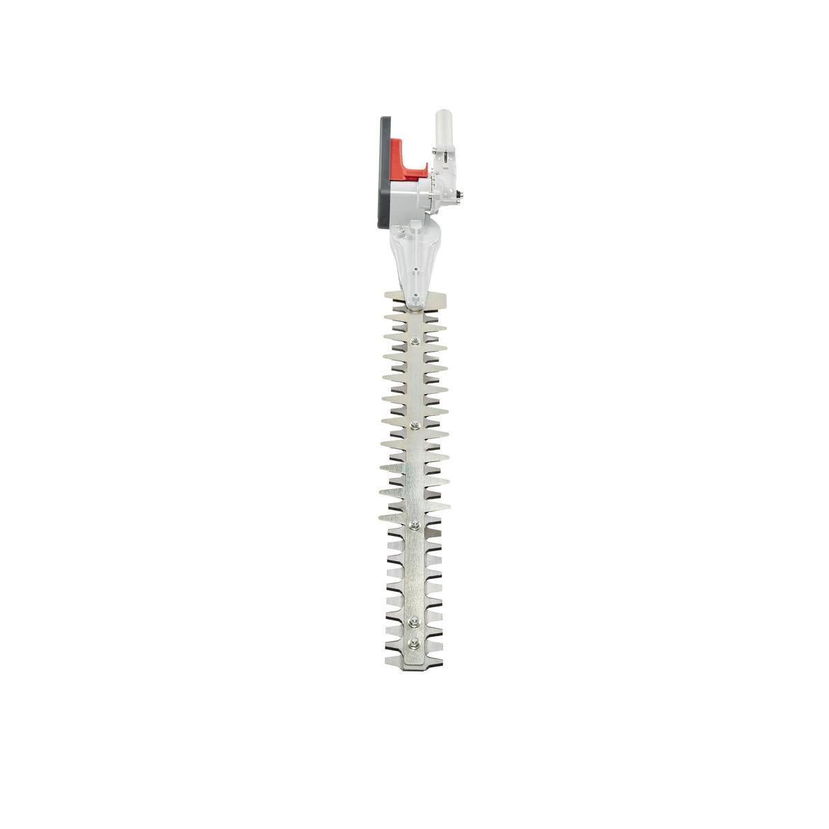 Decespugliatori a batteria BC 241 D, BC 300 D e BCi 530 D - Applicazione tagliasiepi_3 | Oleo-Mac