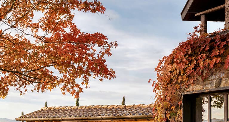 Promo Autunno: tutto ciò che ti serve, a prezzi imperdibili! | Oleo-Mac Promo Autunno: tutto ciò che ti serve, a prezzi imperdibili! | Oleo-Mac