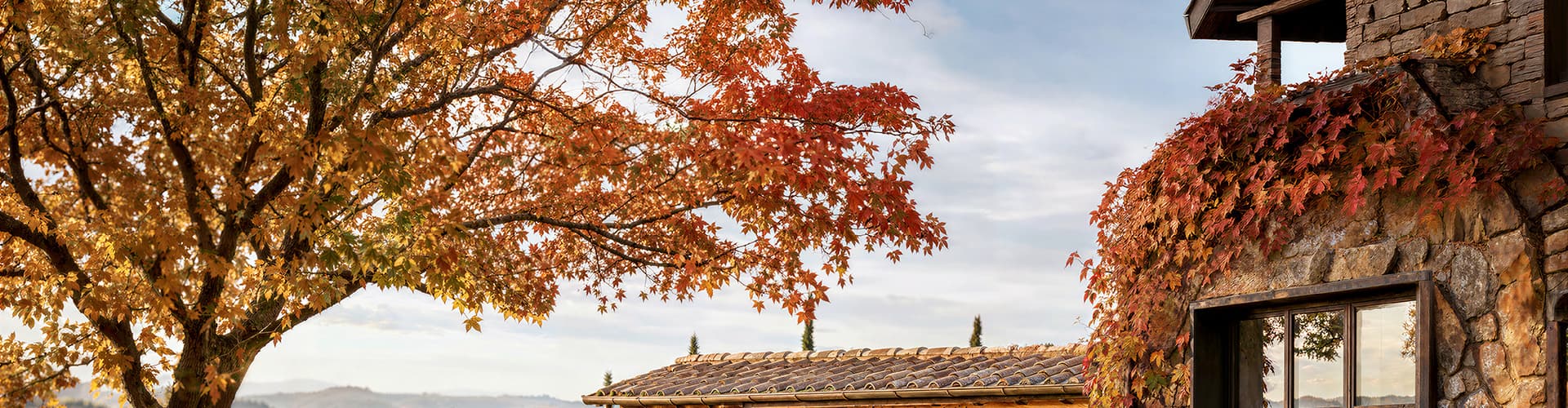 Promo Autunno: tutto ciò che ti serve, a prezzi imperdibili! | Oleo-Mac Promo Autunno: tutto ciò che ti serve, a prezzi imperdibili! | Oleo-Mac