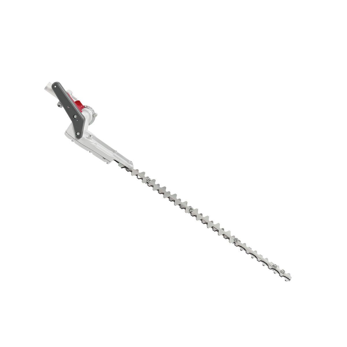 Decespugliatori a batteria BC 241 D, BC 300 D e BCi 530 D - Applicazione tagliasiepi_2 | Oleo-Mac