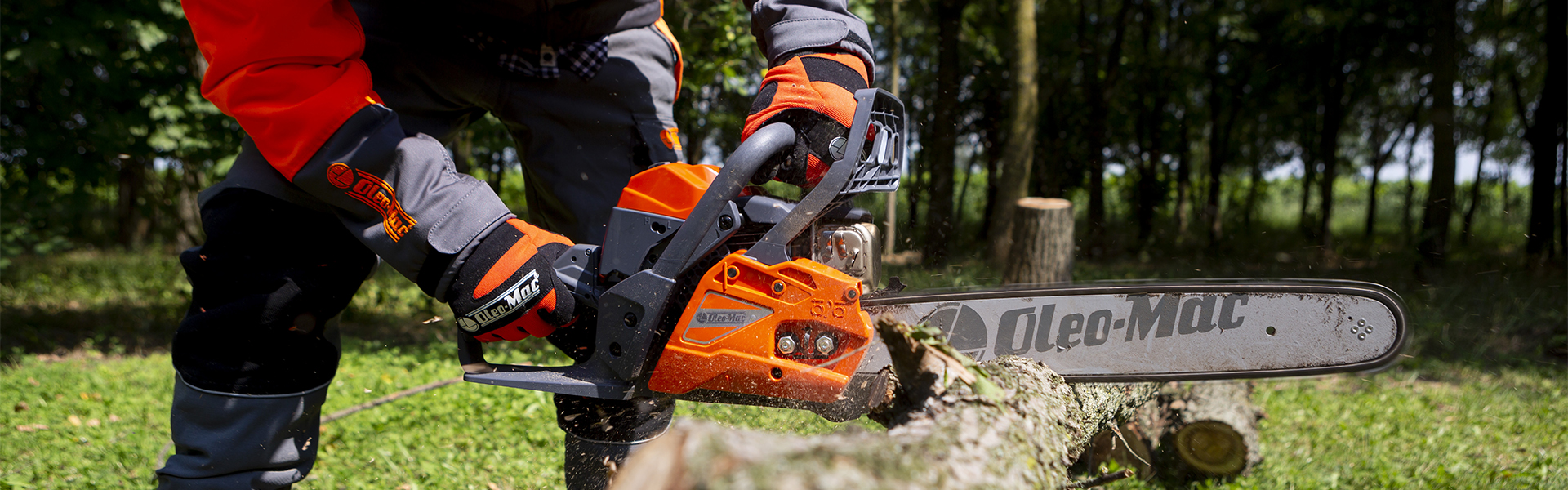 Affilare catena motosega - Attrezzi giardino - Come affilare la catena  della motosega