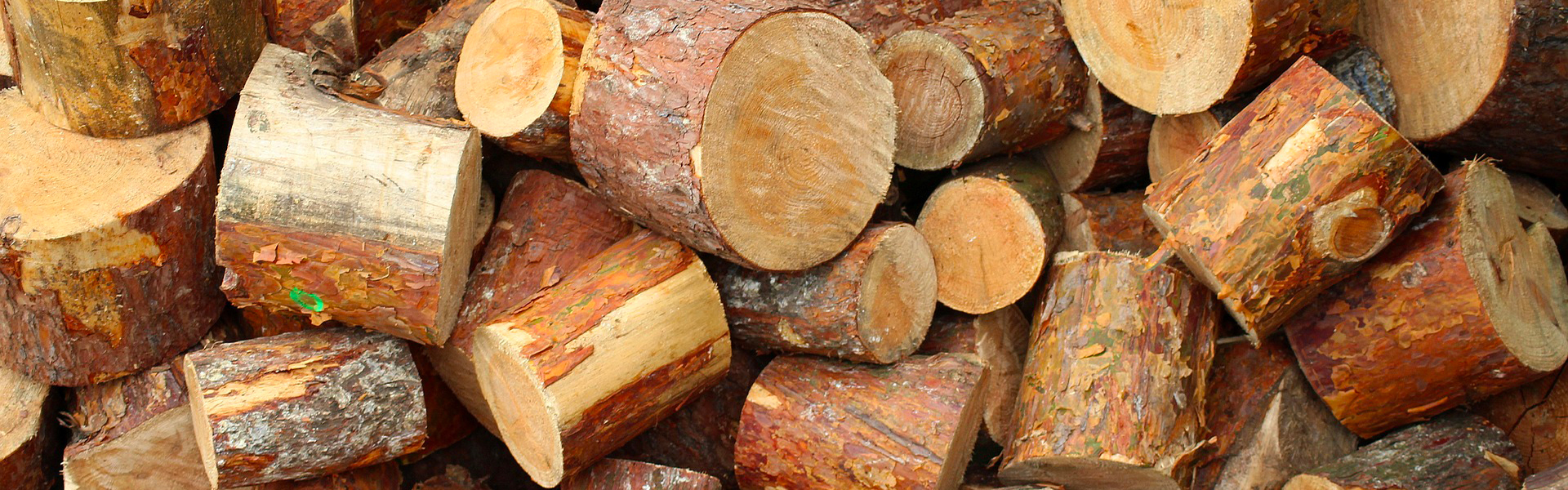 Cavalletto per taglio legna al miglior prezzo