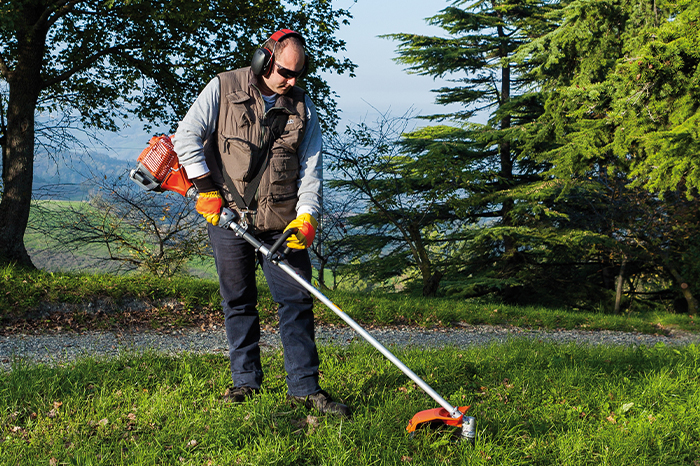 Traliccio per piante rampicanti fai da te con la motosega Traliccio per piante rampicanti fai da te con la motosega
