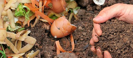 Compostiera da giardino fai da te: consigli pratici per costruirla