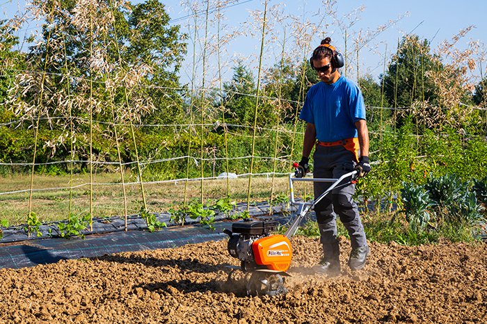 Areggiare il prato: Come e quando si effettua l'arieggiatura?